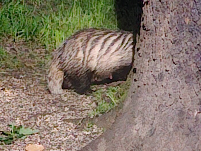 20260619_000710.jpg