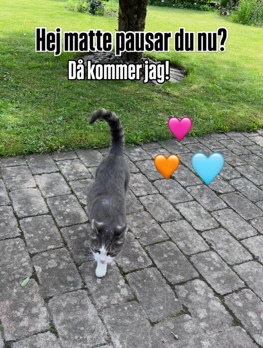 2164E9D6-EF0E-4CF5-95FF-33E767C63264.jpeg