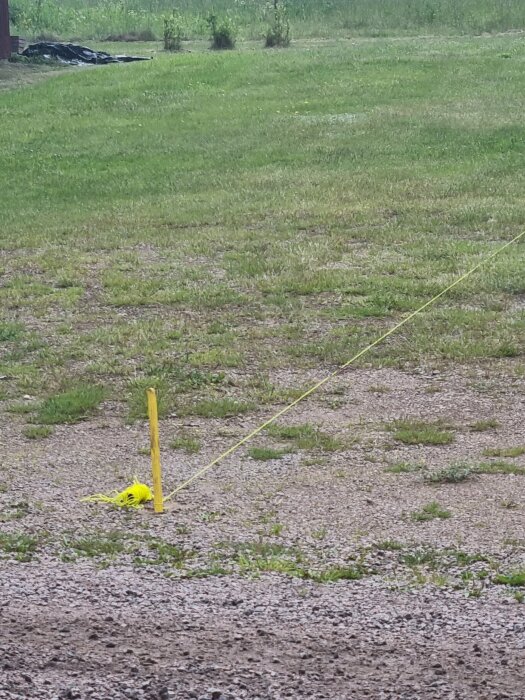 20260619_132833.jpg