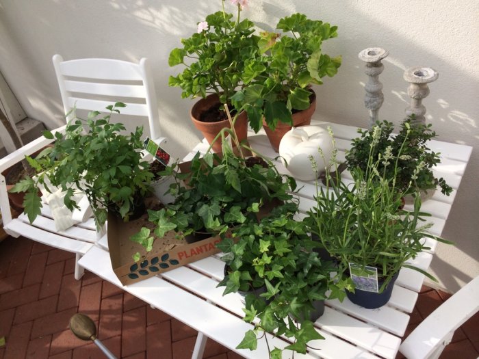 ImageUploadedByByggahus.se1399825169.476554.jpg