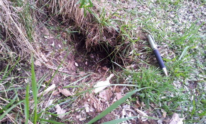 20140515_191207.jpg