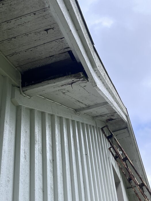 IMG_1317.jpeg