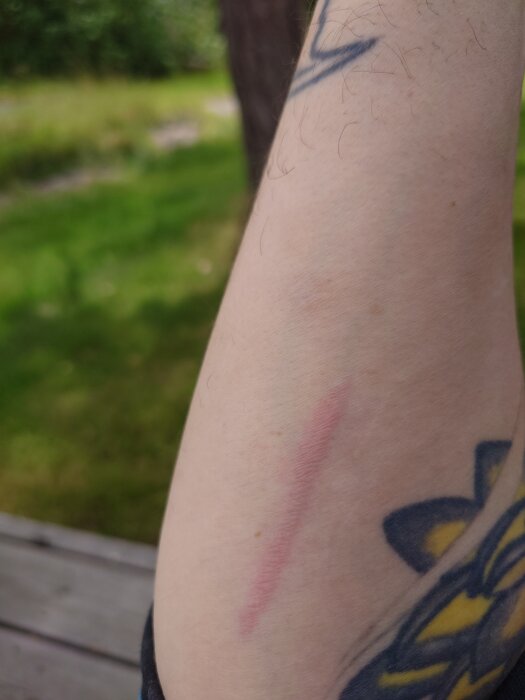 20260622_135223.JPG