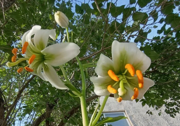 IMG_20260622_191212412_HDR~2.jpg