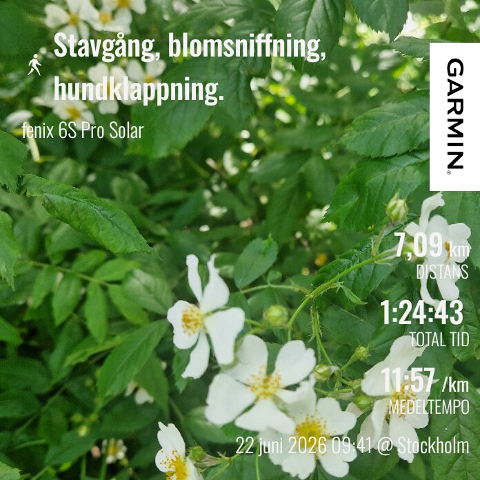 GarminConnect_20260622-162134.png