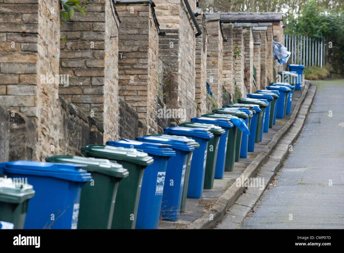 wheelie-bins-lined-up-in-a-steep-cobbled-back-street-of-terraced-houses-CMP07D.jpg