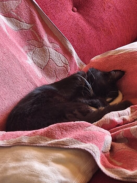 20260621_172101.jpg