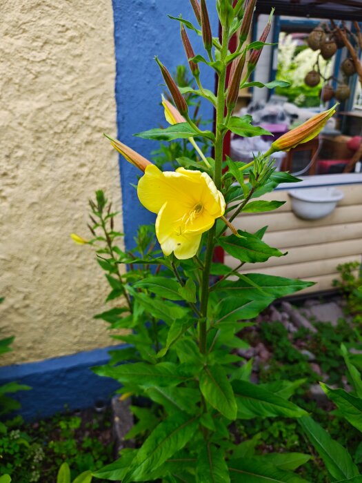 MVIMG_20260623_194216.jpg