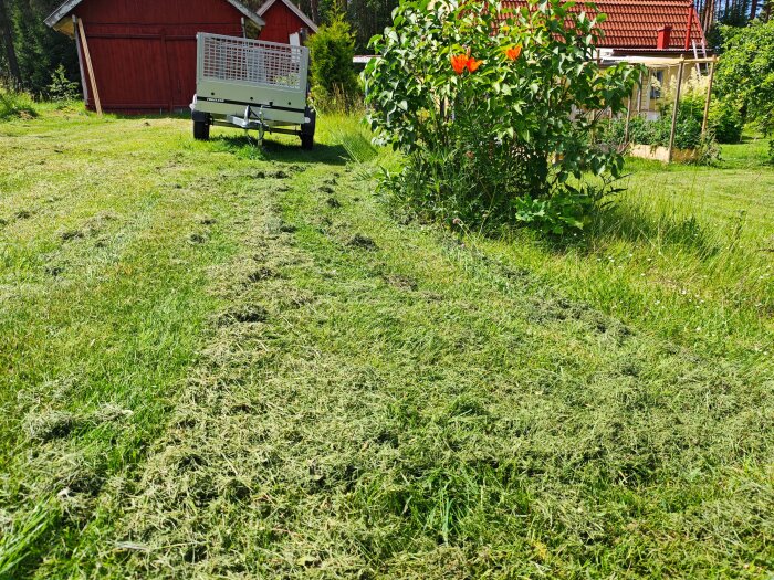 MVIMG_20260624_124733.jpg