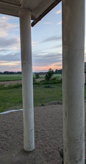 PXL_20260624_201230381.jpg