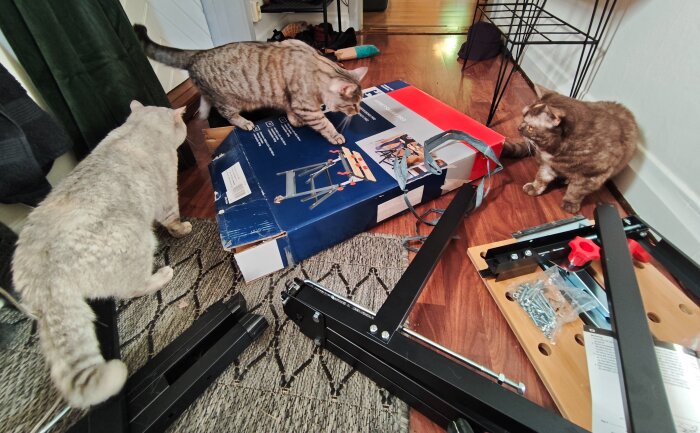 PSX_20260625_090435.jpg