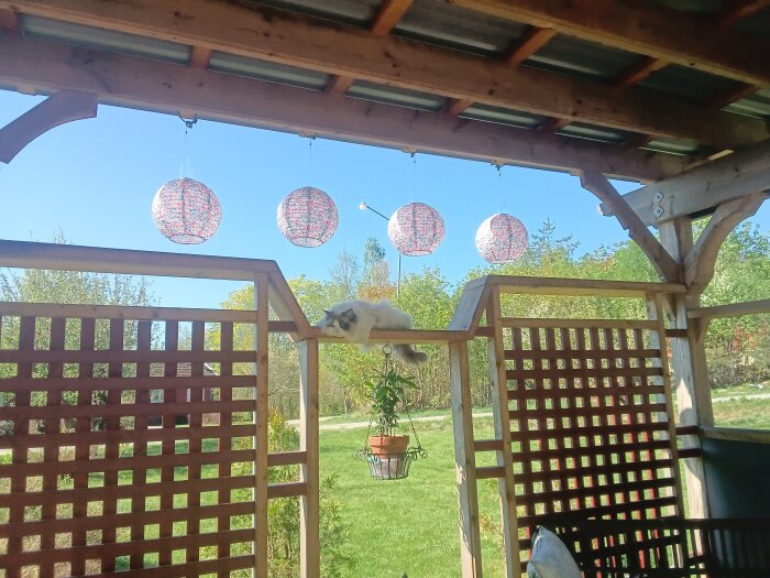 20240518_095742.jpg