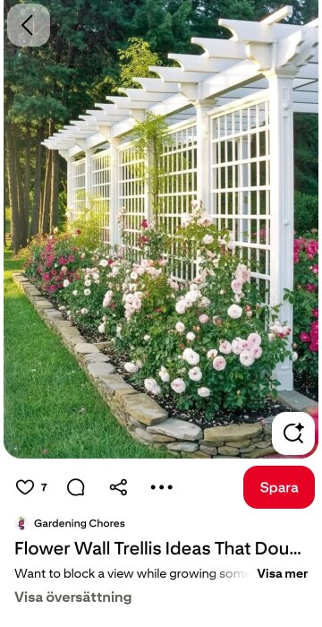 Screenshot_20260625_110929_Pinterest.jpg
