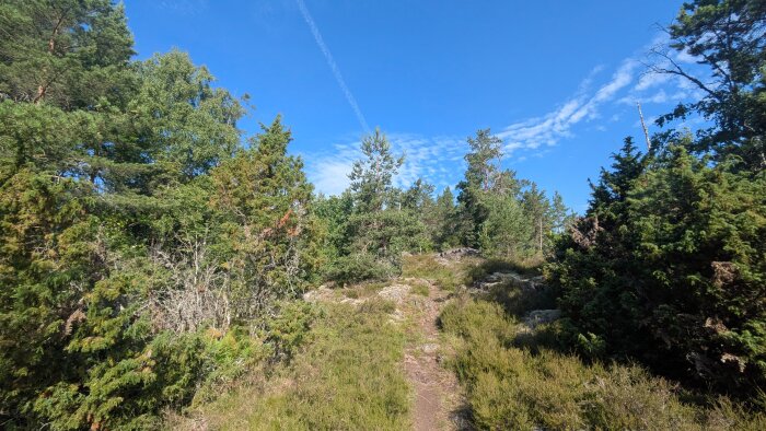 PXL_20260627_065812109.jpg