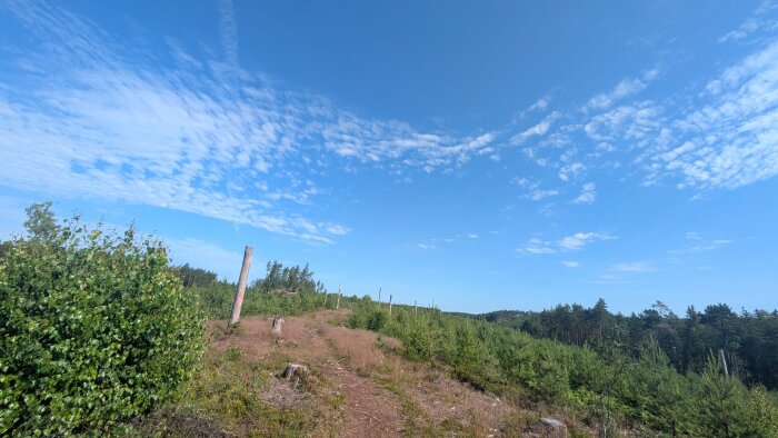 PXL_20260627_070043893.jpg