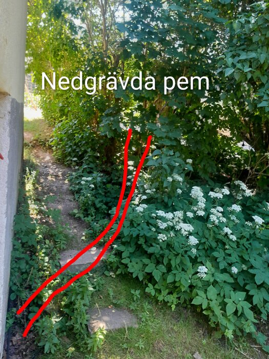 20260627_124116~2.jpg