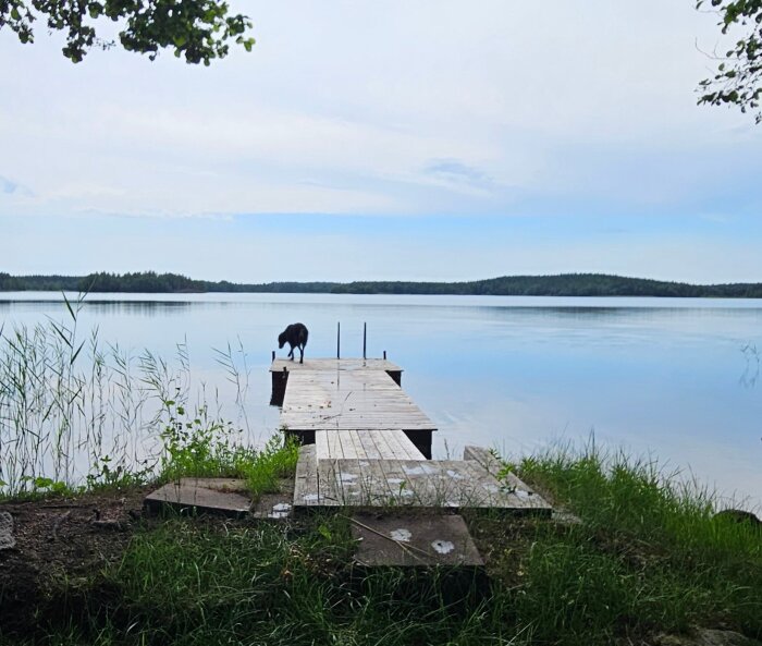 20260627_120217.jpg