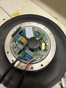 IMG-1090.jpg