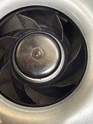 IMG-1094.jpg