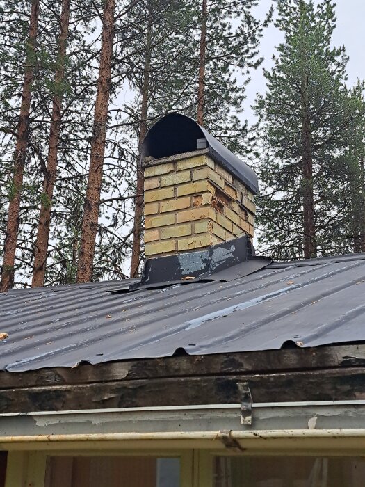 20260628_142344.jpg