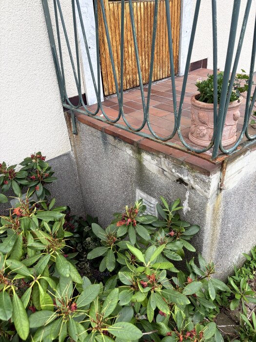 IMG_0890.jpeg