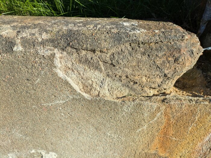 PXL_20260629_171437530.jpg