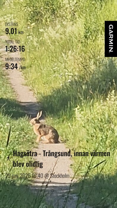 GarminConnect_20260630-121828.png