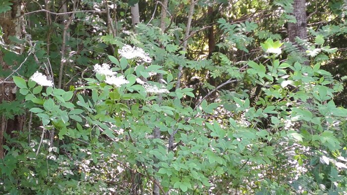 20260630_124917.jpg