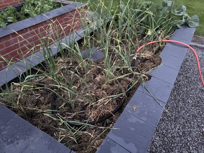 IMG_4534.jpeg
