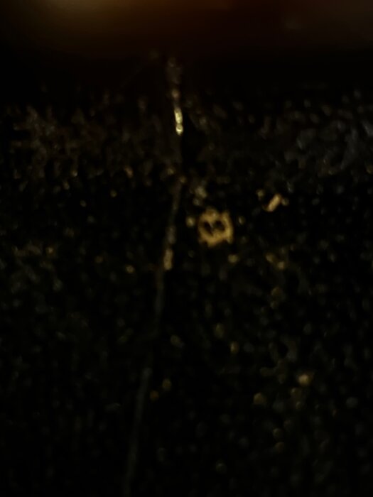 IMG_3291.jpeg