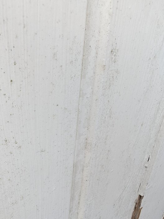 PXL_20260629_185314819.jpg