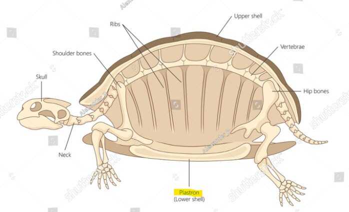 1782896458129.png
