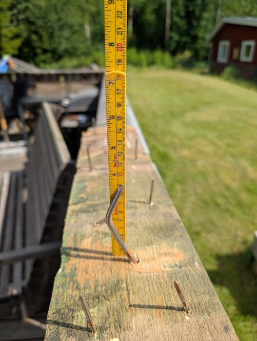 PXL_20260701_125234320.jpg