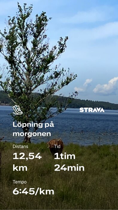 IMG_6523.png