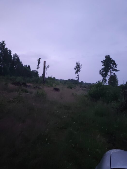 17830251701165703464165243808246.jpg