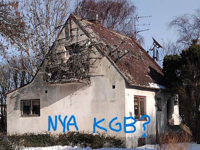 1783078036339.jpeg