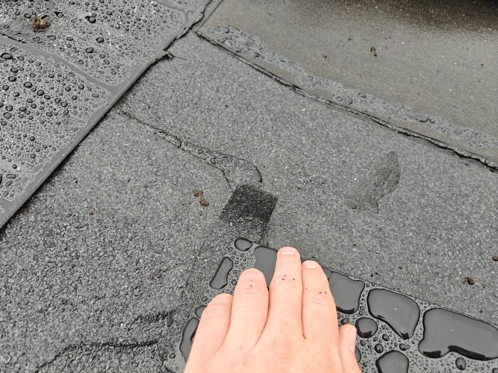 IMG20260703155205.jpg