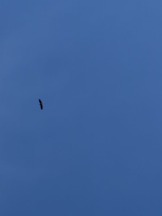 IMG_0168.jpeg