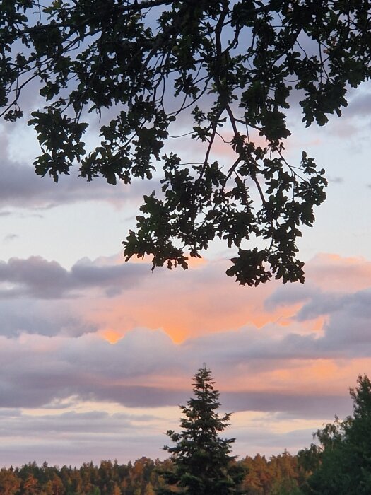 20260704_213205.jpg