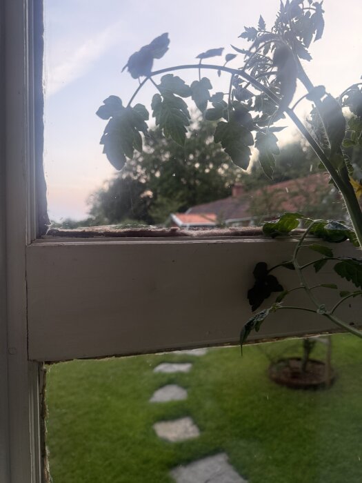 IMG_8094.jpeg