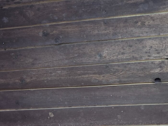 20260707_080029.jpg