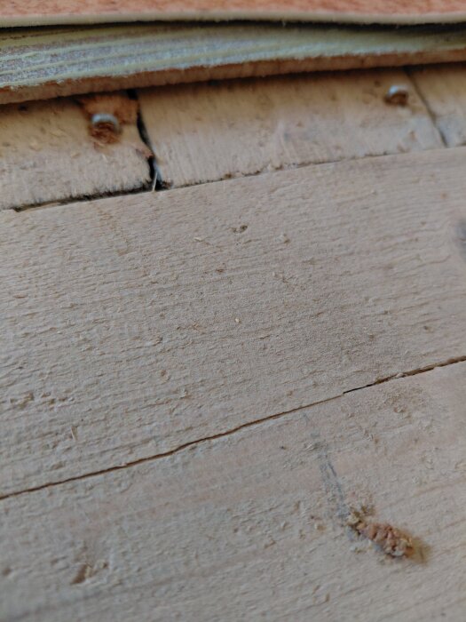20260707_114950.jpg