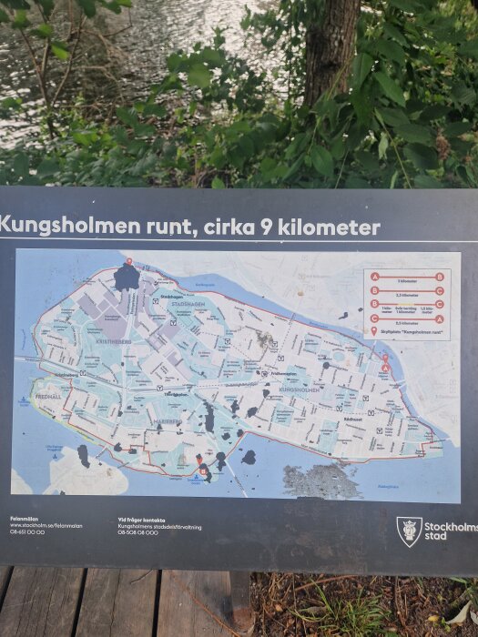 20260708_093039.jpg