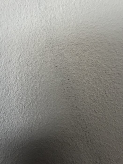IMG_8863.jpeg
