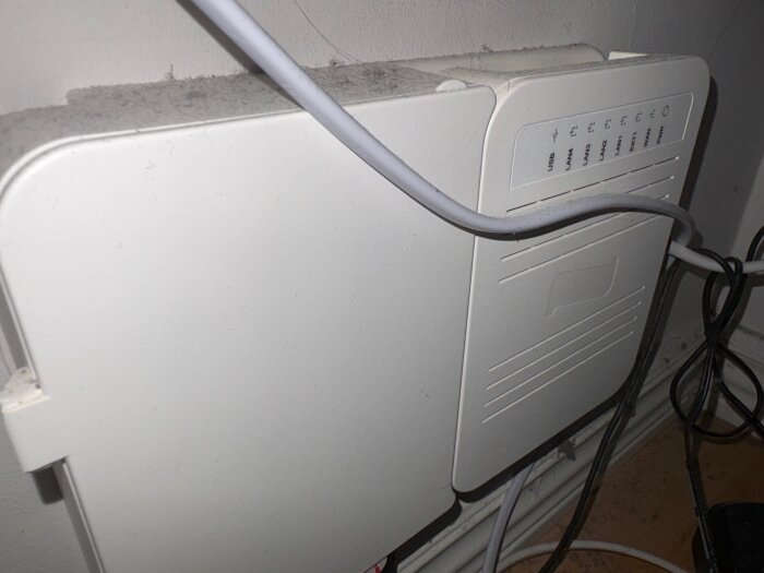 IMG_1662.jpeg