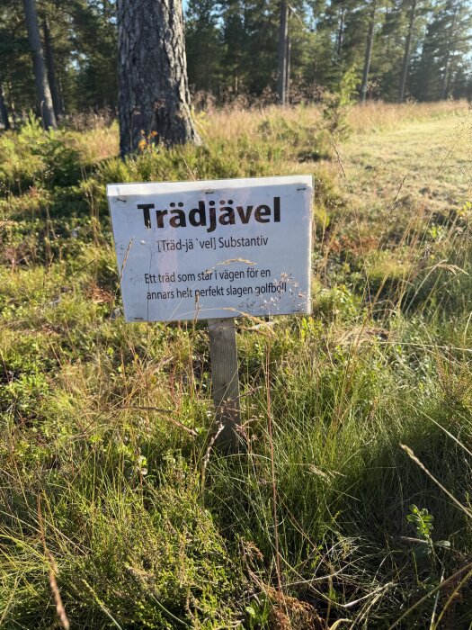 IMG_0197.jpeg