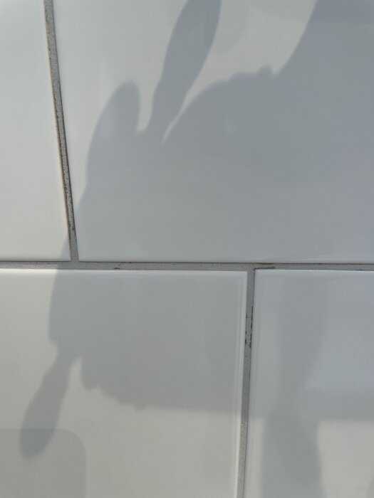 IMG_0667.jpeg