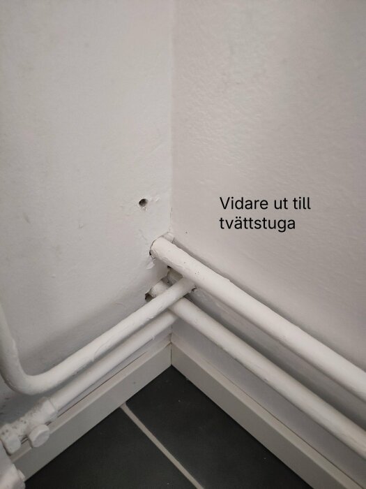 tvättstuga.jpeg