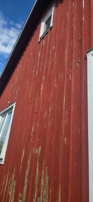 20260712_095206.jpg