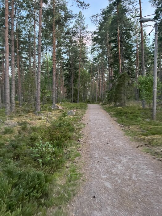 IMG_9888.jpeg